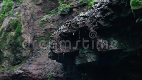 瀑布落在森林里视频的预览图