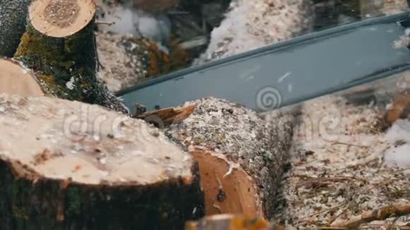 电锯在地上锯干木头视频的预览图