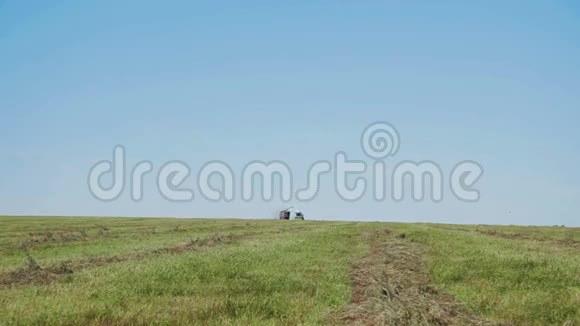 农民在田间收获青贮饲料视频的预览图