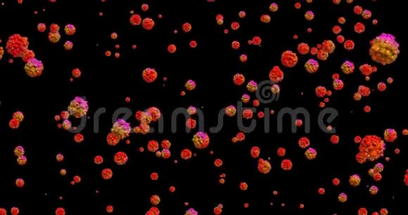 红色细菌病毒或细菌微生物细胞能够循环视频的预览图