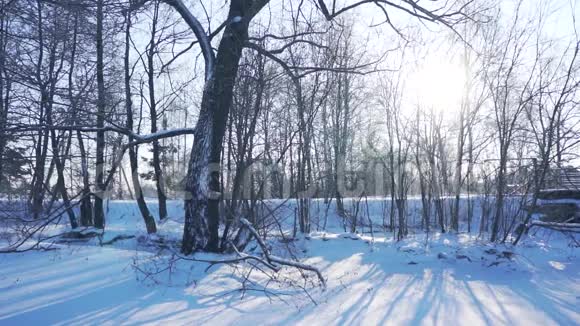 冬季景观背景视频的预览图