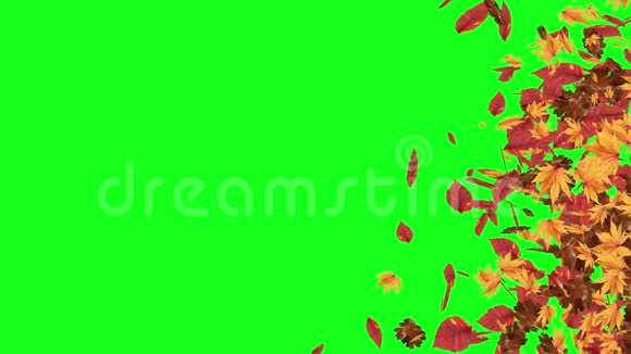 秋季落叶绿屏色度键可编辑背景视频的预览图