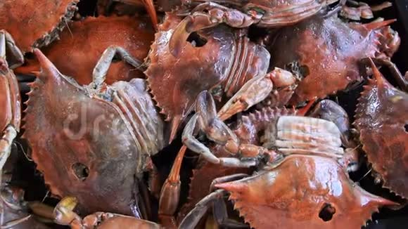 煮熟的红蟹美味健康的海鲜视频的预览图