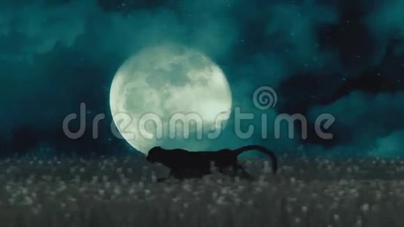 在满月背景下猎豹或黑豹在黑夜中奔跑视频的预览图