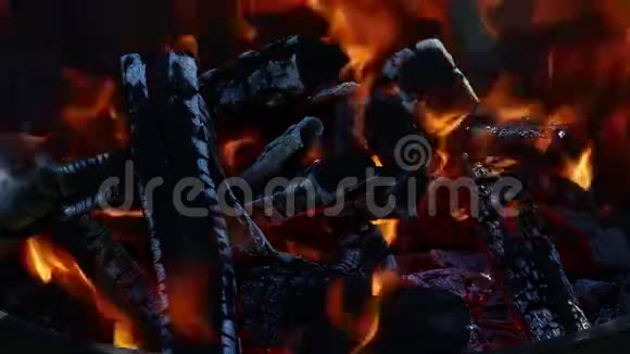 篝火壁炉中燃烧的柴火火焰尖视频的预览图