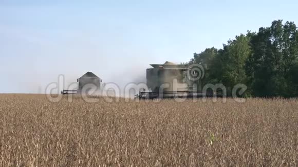 农业和收获农业机械在大豆田的粉尘作业视频的预览图