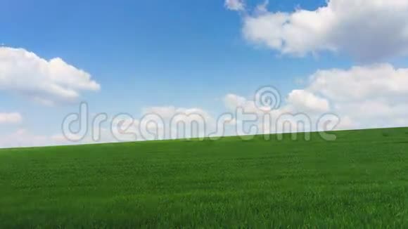 明媚的阳光明媚的春天大片的云在绿茵的田野上视频的预览图
