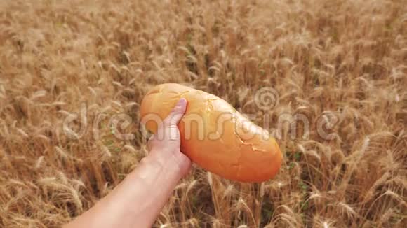 农夫持面包第一人称观人在麦田里过着面包的生活方式慢动作视频成功成功成功视频的预览图