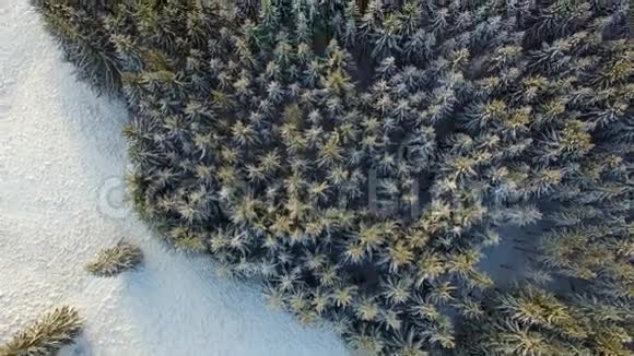 白雪皑皑的冬天美丽无声的风景视频的预览图