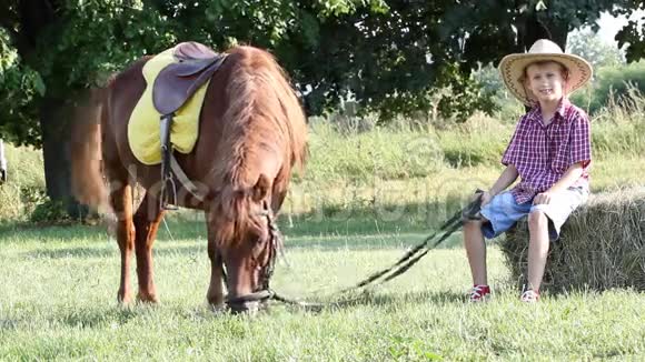 小男孩和小马在农场视频的预览图