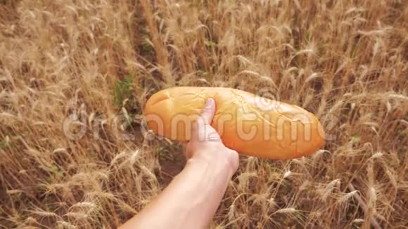 农夫持面包第一人称观人在麦田里拿着一条面包慢动作视频成功成功成功视频的预览图