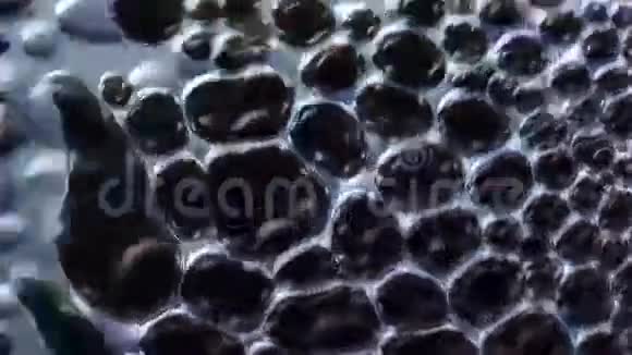 水或油中元素的宏观特写抽象背景4KUHD视频的预览图