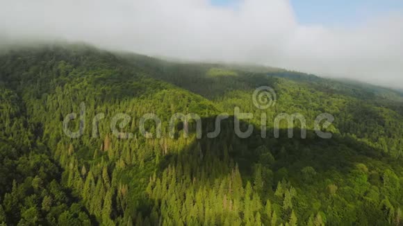 飞过群山视频的预览图