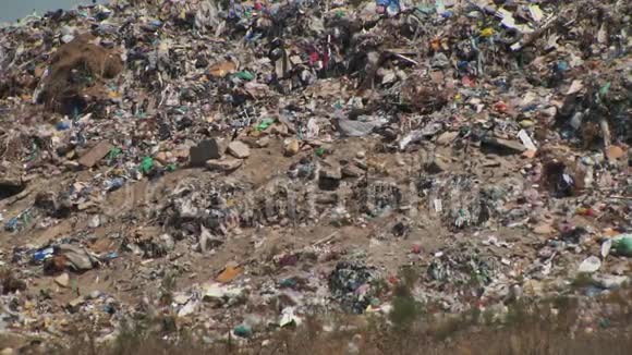 垃圾堆积如山废塑料瓶包装腐烂食物视频的预览图