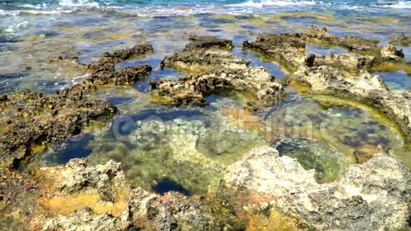 地中海岩石海岸边缘的石质海岸洞穴视频的预览图