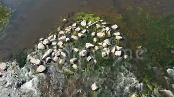 夏季河水和绿藻石视频的预览图