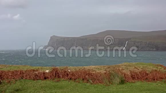 秋季风暴卡卢姆时从下米洛瓦伊看到的悬崖苏格兰的斯凯岛视频的预览图