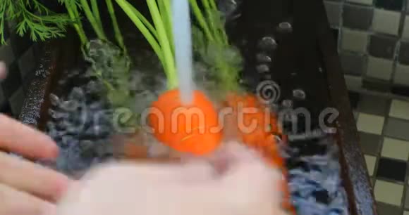 新鲜的胡萝卜厨房的水槽胡萝卜维生素人类重要的蔬菜视频的预览图
