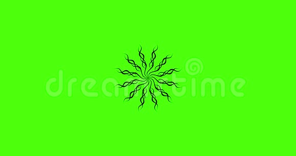 绿色背景上的动画染色的绿色背景视频动画元素黑色视频的预览图