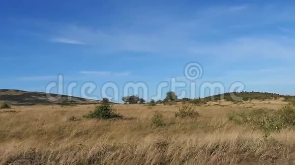 肯尼亚察沃公园的萨凡纳景观视频的预览图