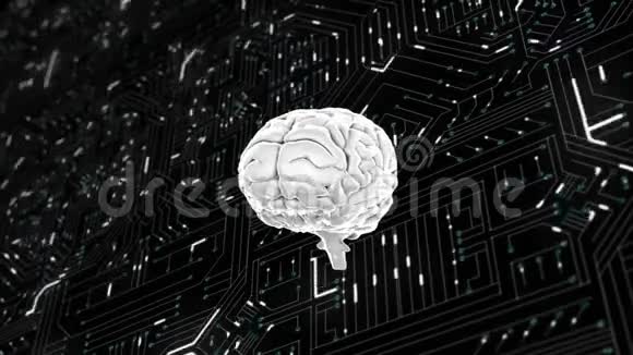 大脑在电脑电路板上旋转视频的预览图