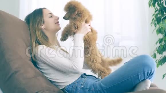 小女孩和一只狗在家里的扶手椅上休息视频的预览图