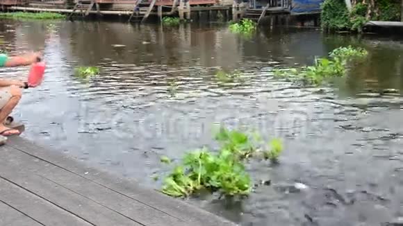 喂鱼河前的非塔布里寺庙泰国视频的预览图