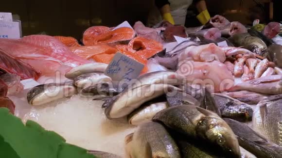 在拉波奎利亚鱼市场的冰中展示海鲜巴塞罗那西班牙视频的预览图