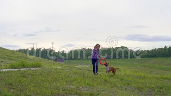下面的动作年轻的女孩玩狗品种美国斯塔福德郡猎犬视频的预览图
