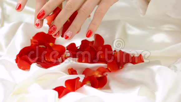 白色丝绸上的雌手和玫瑰花瓣视频的预览图