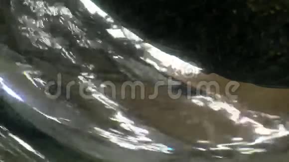 水和光反射抽象视频的预览图