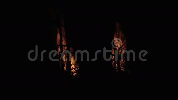 晚上在树林里开火晚上在森林里着火视频的预览图