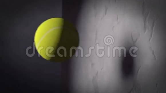 网球慢动作动画视频的预览图