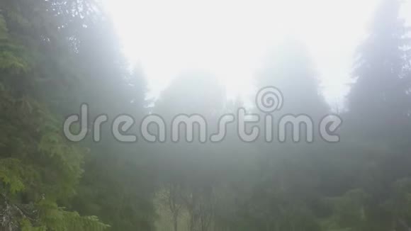 在多岩石的河岸上在神奇的雾林中进行空中旅行视频的预览图