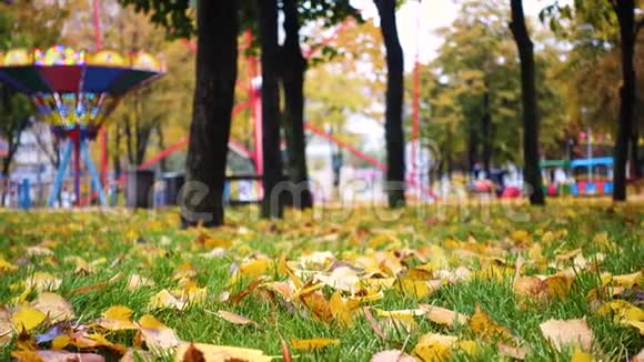 秋天公园绿草上的黄叶视频的预览图