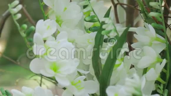 美丽的结婚拱门装饰着白色的花朵视频的预览图