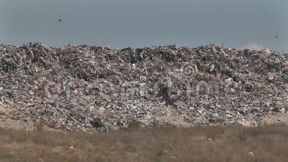垃圾山垃圾塑料瓶腐烂食品包装视频的预览图