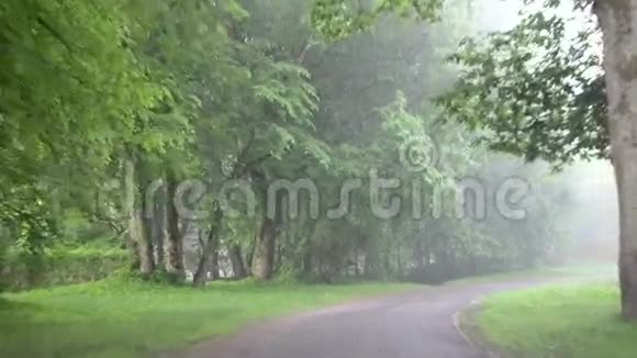 开着车在公园的道路上行驶浓雾笼罩着树木和房子视频的预览图
