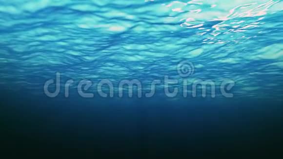 从水下看到的海洋背景视频的预览图
