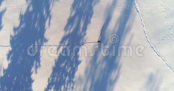 徒步旅行者4k漫步在雪景上视频的预览图