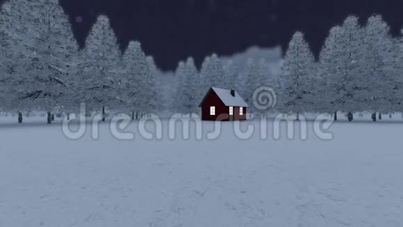 冬季森林背景之夜视频的预览图
