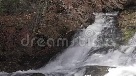 秋林瀑布的美丽自然视频的预览图