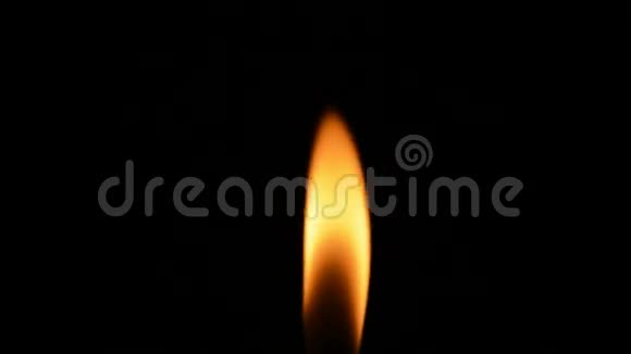 蜡烛蜡烛灯视频的预览图