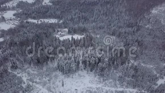白雪皑皑的风景中的白树视频的预览图