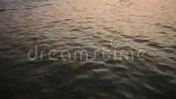 日落光线下的海面运动视频的预览图