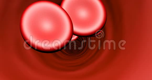 静脉中的红细胞能够循环视频的预览图