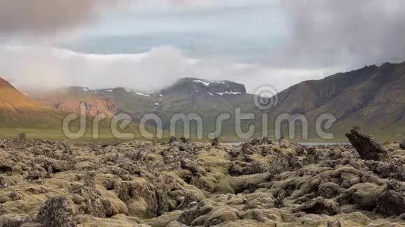 苔藓覆盖的熔岩田视频的预览图