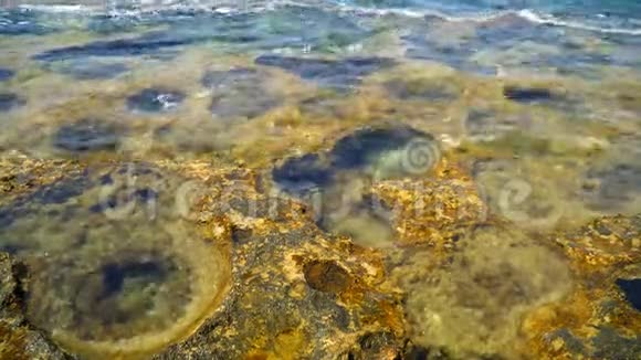 地中海岩石海岸边缘的石质海岸洞穴视频的预览图