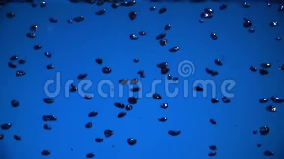 空气泡落在蓝色背景上视频的预览图