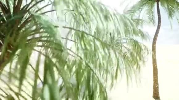 戴眼镜的滑稽大猩猩躺在躺椅上海滩和棕榈树水疗度假理念逼真的4K动画视频的预览图